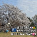 양평군 환경사업소 | [양평]양평 남한강뷰 캠핑장, 약수동산 캠핑장 (벚꽃캠, 명당자리 추천)