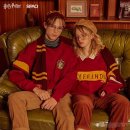 헤리포터인 이미지