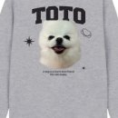 부일세탁 이미지