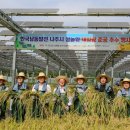 남동태양광발전소 이미지