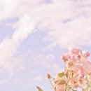 우*경