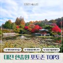 선암호수공원축구장(평일,동절기) | 국립 대전 현충원 단풍 은행나무 TOP3 포토존과 둘레길 후기