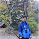 휴양림약수 이미지