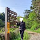모악산공영주차장(중인리) 네이버블로그