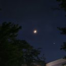 오늘 달이 아주 예뻐 🌛 이미지