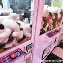 뽑기FLEX 이미지