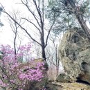 덕계1통 이미지