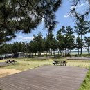 B18-1 | 🏕️바다가 보이는 캠핑장, 백도오토캠핑장 캠핑 후기 (B구역 B18 사이트)