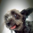 가야아파트 이미지