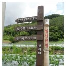 종로-종로-종로-종-283 | 영양 일월산(12. 6, 15)