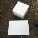 우리골프학교 | [안면도] 태안 1박 2일 갯벌체험 조개잡이 후기 (대만족)