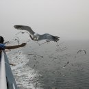 동국목장 이미지