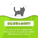 금왕동물병원 이미지