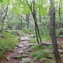 장산시장 이미지