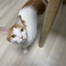come&play English 이미지