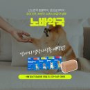 노바동물약국 이미지
