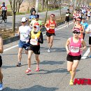 정남진 축산 이미지