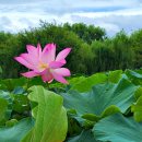 태신목장 이미지