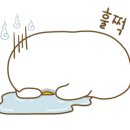 네일플로르 이미지