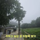 은행정농장 | 서울 서초벌목업체 주택 농장 은행나무 위험목 제거