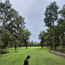 하이골프클럽 | ⛳ 치앙마이 란나 골프클럽(Lanna Golf Club) 후기