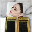 래쉬부스 이미지