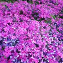 백수약수터 이미지