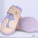 퍼플댕댕 이미지