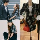 크롭체크코리아 이미지