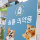 동아온누리약국 이미지