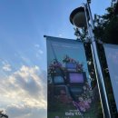 혜성초등학교 | 베이비복스 콘서트 2025 후기, 경희대 평화의전당 1층 D구역