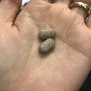 오산부부한의원 이미지