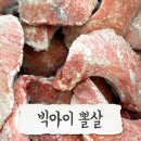 수정체육사 이미지