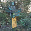 삼가주유소 이미지