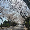 색달동-10 이미지