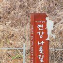 연강나룻길 C코스 이미지