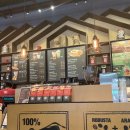 댕댕살롱앤스파 | 해외:) 아이랑 4박 6일 나트랑 여행 2편, 더웨스틴 리조트 앤 스파 깜란 숙박