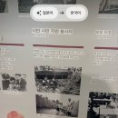 예술라사 | [일본] 기타큐슈 3박4일 여행 후기 / 2일차(고쿠라성, 강박물관, 탄가시장, 이나세야, 세컨드 피츠로이...