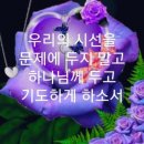 샬롬
