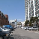 백송한신@ 이미지