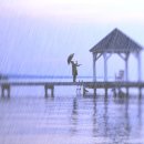 Blue eyes cring in the rain - Olivia Newton John 이미지