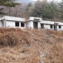 모두의로망 Daum카페