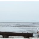 해오름관광농원 이미지