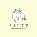 오늘의 댕댕 | [오늘의댕댕] 부천 강아지 배냇미용 후기, 말티푸 첫 미용 시기와 주의점