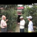 비파농장 이미지