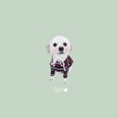 오독스(ODOX)