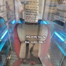 단풍세탁 이미지