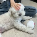 잘굴러가는 일주일✨