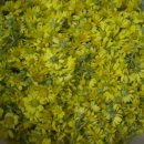 참국화갤러리카페 이미지