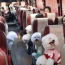 안한농장 이미지